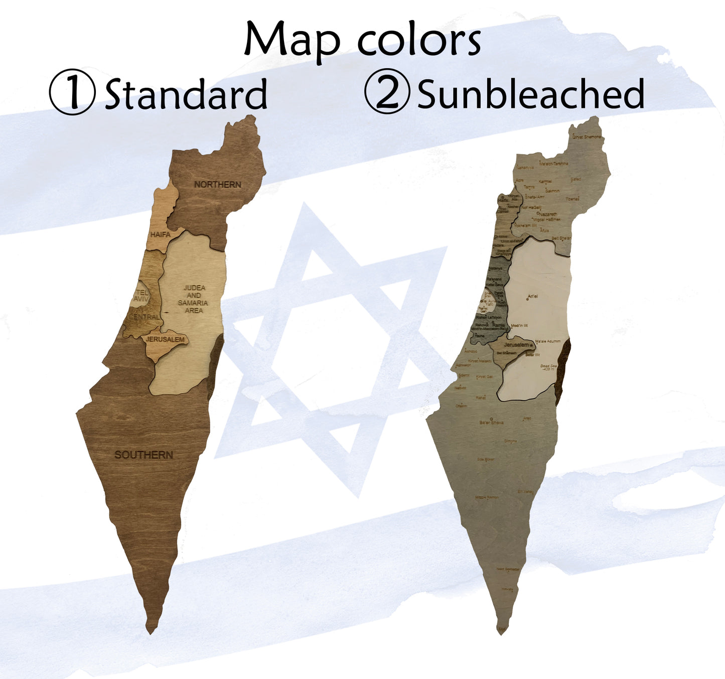 Wooden Map of Israel colors