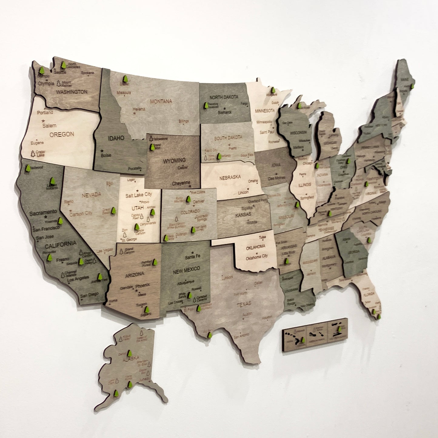 Grey US Map of National Parks